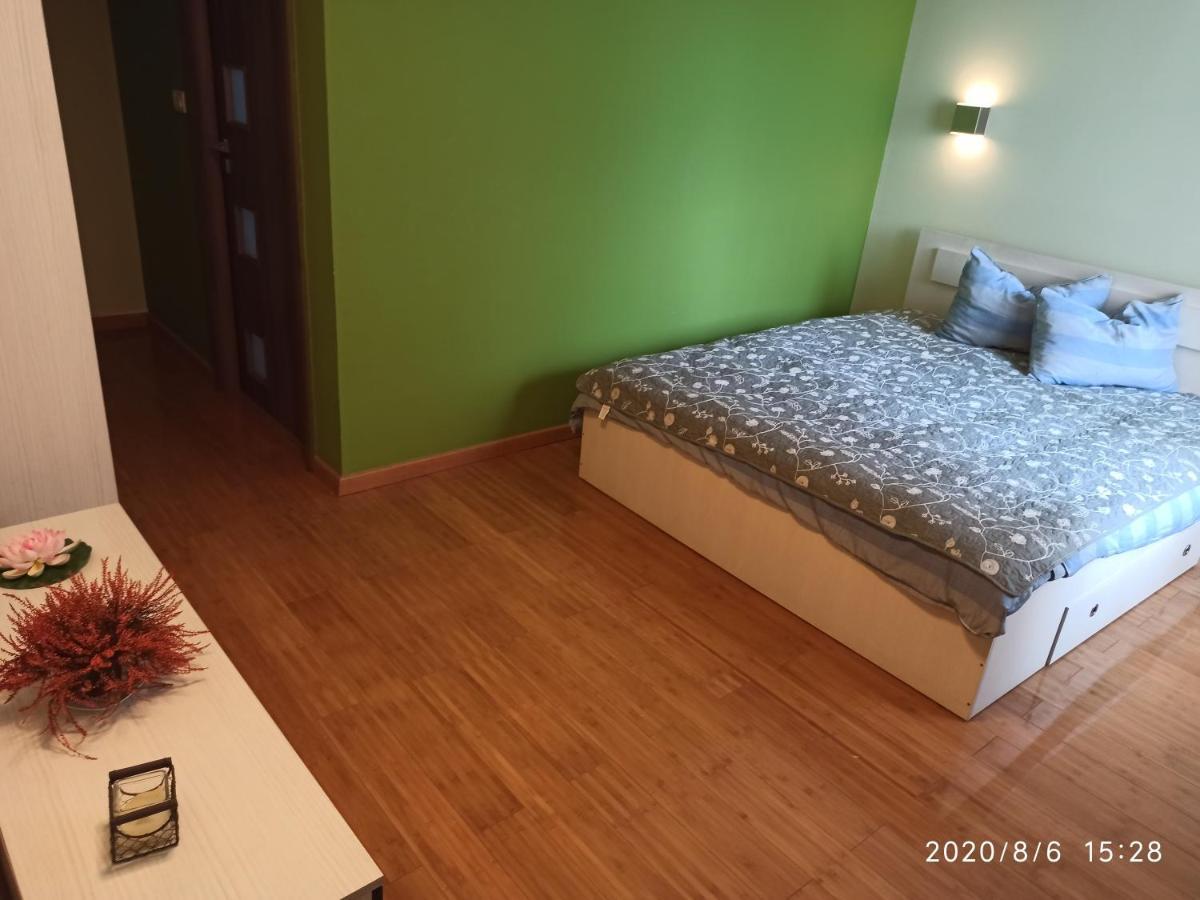 Casa Tiky Hotel Timisoara Ngoại thất bức ảnh